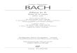 BACH - carusmedia.com · BACHJohann Sebastian Missa in A Mass in A major BWV 234 Kyrie-Gloria-Messe für Soli (SATB), Chor (SATB) 2 Querflöten, 2 Violinen, Viola und Basso continuo