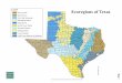 Ecoregions of Texas - Texas A&M AgriLifecounties.agrilife.org/denton/files/2013/08/ecoregions-of-texas.pdf · jeff davis hill gaines polk ke r uvalde leon ca ss starr b exar sutton