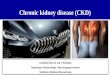 Chronic kidney disease (CKD) - kielstein.com · disease (CKD), while relatively stable at 14.8 %, implies that an estimated 30 million American adults have CKD, with millions of others