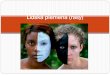 Lidská plemena (rasy) - Ing. Petr Major · barva pleti, očí a vlasů 3 pigmentové složky: karoten, hemoglobin, melanin melanin – produkován melanocyty počet melanocytů –