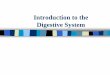 Introduction to the Digestive System - Weeblyastoriaagdepartment.weebly.com/.../8/22384236/20_the_digestive_system.pdf · Introduction to the Digestive System. Digestive System Large