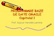 PROGRAMARE BAZE DE DATE ORACLE Capitolul 1liceulteoreticdecebal-ct.ro/files/Programare-Baze-de-date--Oracle1.pdf · PROGRAMARE BAZE DE DATE ORACLE Capitolul 1 Prof. Cojocar-Horobăț