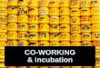 CO-WORKING & incubation - regio-adrcentru.roregio-adrcentru.ro/wp-content/uploads/2018/01/Spatiile-de-co-working.pdf · Coworking & huburi 2017 Impact Hub Bucuresti TechHub Bucuresti