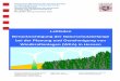 Leitfaden Berücksichtigung der Naturschutzbelange bei der ... · HMUELV / HMWVL Windkraft und Naturschutz in Hessen - 6 - 3 Naturschutzrechtlicher Rahmen Bei der Planung von WKA