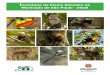 Inventário da Fauna Silvestre do Município de São Paulo ... · 2 Inventário da Fauna Silvestre do Município de São Paulo - 201 Divisão de Fauna Silvestre / SVMA / PMSP ÍNDICE