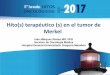 Hito(s) terapéutico (s) en el tumor de Merkelhitosoncologicos.com/wp-content/uploads/2017/11/02_M3_Dr.IvanMarquez.pdf · función clara (¿sensibilidad propioceptiva?) EPIDEMIOLOGÍA,
