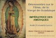 (1) Vierge de Guadalupe - CatholicaPedia.netcatholicapedia.net/mariadeguadalupe/LAVIERGEMARIADEGUADALUP… · de la Vierge, on reconnaît les constellations de l’hémisphère Nord