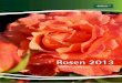 Rosen 2013 - mobil.der-neue-katalog-ist-da.demobil.der-neue-katalog-ist-da.de/files/images/hersteller/jeddeloh/gk... · 6 Edelrosen Edelrosen sind die Klassiker in jedem Rosengarten