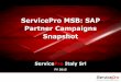 ServicePro MSB: SAP Partner Campaigns Snapshot · Lead Generation Campaign + Event Services: May 2015 -Lead generation campaign comprising DEM and landing page with partner offers