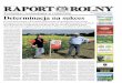 QDNïDGNRQWU Determinacja na sukces - raportrolny.pl · 2 RAPORT 2014 Raport Rolny 30 lat na rzecz rozwoju uprawy kukurydzy w Polsce - Od 3 lat areał uprawy ku-kurydzy przekracza