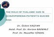 The Role of Thalamic Size in Schizophrenia Patient’s ... · Psikotik Atak Hastaları ile Kronik izofreni Hastalarında Sağ Talamus ve Temporal Korteks Metabolit Seviyelerinin MRS