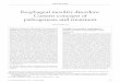 Esophageal motility disorders - Hindawi Publishing Corporationdownloads.hindawi.com/journals/cjgh/2000/389709.pdf · Esophageal motility disorders: Current concepts of pathogenesis