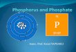 PowerPoint Presentation - Marmara £“ kyapsakli/enve202/Lecture7_ ¢  Phosphorus Unlike other