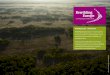 Rewilding Europe - Delta Dunăriid2ouvy59p0dg6k.cloudfront.net/...rewilding_europe___delta_dunarii.pdf · Rewilding Europe - Delta Dunării Rewilding Europe propune o viziune nouă
