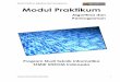 Modul Praktikum Algoritma dan Pemrograman Modul Praktikumstiki-indonesia.ac.id/wp-content/uploads/2019/03/modul/MODUL_TI/Modul... · Modul Praktikum Algoritma dan Pemrograman Program