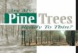 P2260 Are My Pine Trees Ready To Thin? · is, “Are my pine trees ready to thin?” There is no definite answer to this question, because every pine plantation may be different