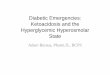 Diabetic Emergencies: Ketoacidosis and the Hyperglycemic ... · PDF fileDiabetic Emergencies: Ketoacidosis and the Hyperglycemic Hyperosmolar State Adam Bursua, Pharm.D., BCPS. Objectives