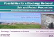 Possibilities for a Discharge Reduced Salt and Potash ... · Possibilities for a Discharge Reduced Salt and Potash Production Exchange Conference on Potash June 2013 | Geermu, China