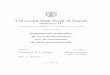 Universit a degli Studi di Napoli - cds.cern.chcds.cern.ch/record/981344/files/cer-002644407.pdf · Un po’ di storia della levitazione 1.1 Principi e limitazioni delle tecniche