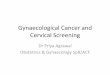 Gynaecological cancer and cervical screenings3.amazonaws.com/zanran_storage/€¦ · Gynaecological Cancer and Cervical Screening Dr Priya Agrawal Obstetrics & Gynaecology SpR/ACF