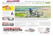 Foto: stock.adobe.com/Daniel Chetroni - heider-mediaservice.de · Fortsetzung von Seite 1 Radfahren als Genuss-Faktor Wer das Fahrrad bevorzugt, kommt genauso auf seine Kosten. Radfahren