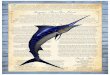 Frigate’s Paw-Paw Elixir Specialty Drinks · T he Frigate bird is legendary to sport fishermen and it’s presence is an indicator to a bountiful catch, good times and success