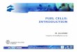 FUEL CELLS: INTRODUCTION - UMONS · PEMFC Proton exchange membrane fuel cell Type Electrolyte Same electrochemical principles but operate at different temperature regimens , incorporate