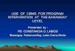USE OF CBMS FOR PROGRAM INTERVENTION AT THE BARANGAY · PDF filepamahalaang barangay at municipal at tulong na rin ng may-ari ng lupa. KAPAYAPAAN AT KAAYUSAN. Bahagi ng populasyon
