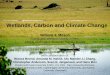Wetlands, Carbon and Climate Change · Wetlands, Carbon and Climate Change . William J. Mitsch . Everglades Wetland Research Park, Florida Gulf Coast University, Naples Florida 