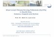 Short-Lived Climate-forcing Pollutants (SLCPs) in South ... · 1 Institute for Advanced Sustainability Studies e.V. Short-Lived Climate-forcing Pollutants (SLCPs) in South Asia: Science,