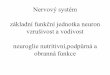 Nervový systém základní funkční jednotka neuron vzrušivost ... · PDF fileaquaeductus mesencephali ( Sylvii) lemniscus med. Tectum = colliculi superiores et inferiores Tegmentum