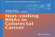 Ondrej Slaby George A. Calin Editors Non-coding RNAs in ... · Advances in Experimental Medicine and Biology 937 Ondrej Slaby George A. Calin Editors Non-coding RNAs in Colorectal