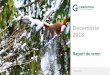 Decembrie 2018 - 01 Padure: conservare si management 02 Reconstructie ecologica 03 Conservare fauna