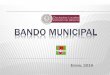 Bando Municipal · BANDO DE POLICÍA Y GOBIERNO Definición: “…conjunto de normas administrativas que regulan el funcionamiento de la administración pública municipal y sus