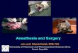 Anesthesia and Surgery restraint, induction 25 - 40 mg/kg IM surgery Lizards Lizards Lizards. Hematology