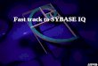 Fast track to SYBASE IQ - anal.tistory.com · JDBC를지원하는Client : Sybase의JDBC인Jconnect를지원하는API 입니다. zDBISQL(Interactive SQL JAVA) : SYBASE IQ에기본적으로제공되는SQL