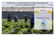 Kaligtasan sa Pesticide para sa Mga Manggagawa sa Field at ... ng mga supply sa pag-decontaminate; at
