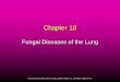 Chapter 7 Body Systems - Lane Community College Tinea corporis, tinea cruris, tinea barbae Tinea corporis,