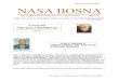 GOUDA 22. JANUAR 2008. NASA BOSNA - Platform …platformbih.nl/Nasa Bosna/Nasa Bosna 12.pdfpitanju su, moze se slobodno reci, skoro isti ljudi. Jedino nedostaju oni koji nisu medju