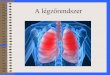 A légzőrendszer - Forgalmazók az Egészségért · A tüdő vérellátása • Truncus pulmonalis (a.pulm/v.pulm) – kizárólag a gázcserében van szerepe a tüdő vérellátásában