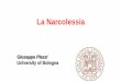 Giuseppe Plazzi University of Bologna · Narcolepsy phenotype REM sleep dysfunction in Narcolepsy. A disease characterized by loss of clear boundaries between sleep & wake. Severe