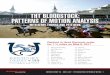 THT BLOODSTOCK: PATTERNS OF MOTION ANALYSIS · and is the business partnership and personal friendship, with Pete. I can tell you, THT Bloodstock would not be shaped quite the same