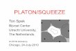 PLATON, A set of Tools for the Interpretation of ...PLATON/SQUEEZE Ton Spek Bijvoet Center Utrecht University, The Netherlands. PLATON Workshop Chicago, 24-July-2010. The Disordered
