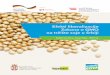Efekti liberalizacije Zakona o GMO na tržište soje u Srbiji · Republika Srbija Ministarstvo poljoprivrede i zaštite životne sredine Efekti liberalizacije Zakona o GMO na tržište