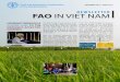 NEWSLETTER FAO IN VIET NAMDinh Van Tuong with a bit of relief on his face. From this ECHO-funded emergency response project, 3 077 households in Gia Lai, Dak Lak and Dak Nong Provinces