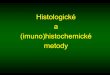 Histologick£© - Masaryk University histologie je nauka o mikroskopick£© skladb¤â€ organismu zkoum£Œ skladbu