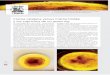 Crema catalana versus Crème brûlée y los caprichos de un ...noticiasprofesionales.com/wp-content/uploads/2017/06/VV141.pdf• La piel de una naranja y la de un limón me brûlée