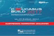 16-19 მაისი, 2017 - Caucasus Buildbuildexpo.ge/pdfs/96816771720fd254006967fd41eafa2c.pdf · caucasus build 2017 - s რა არის თქვენი ამ ღონისძიებაში