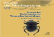 Insecta Coleoptera Tenebrionidae - IRDhorizon.documentation.ird.fr/exl-doc/pleins_textes/...médicale, professeur de biologie animale à la faculté des sciences d’Antananarivo