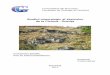 Studiul mineralogic al skarnelor de la Ciclova - Oraviţagg.unibuc.ro/wp-content/uploads/2018/05/CHINET-Cristina.pdf · 2018-05-29 · Studiul de faţă a avut drept principal obiectiv